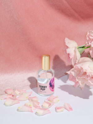 Sunny Pup