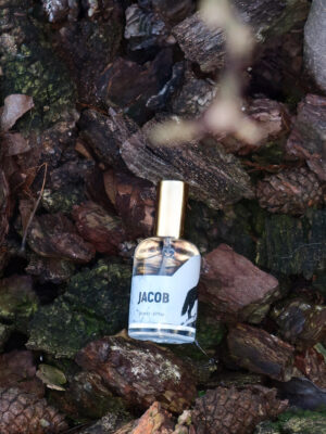 Jacob