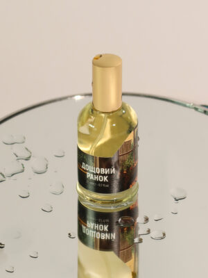 Дощовий ранок