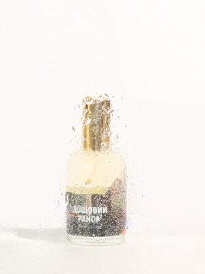 Дощовий ранок