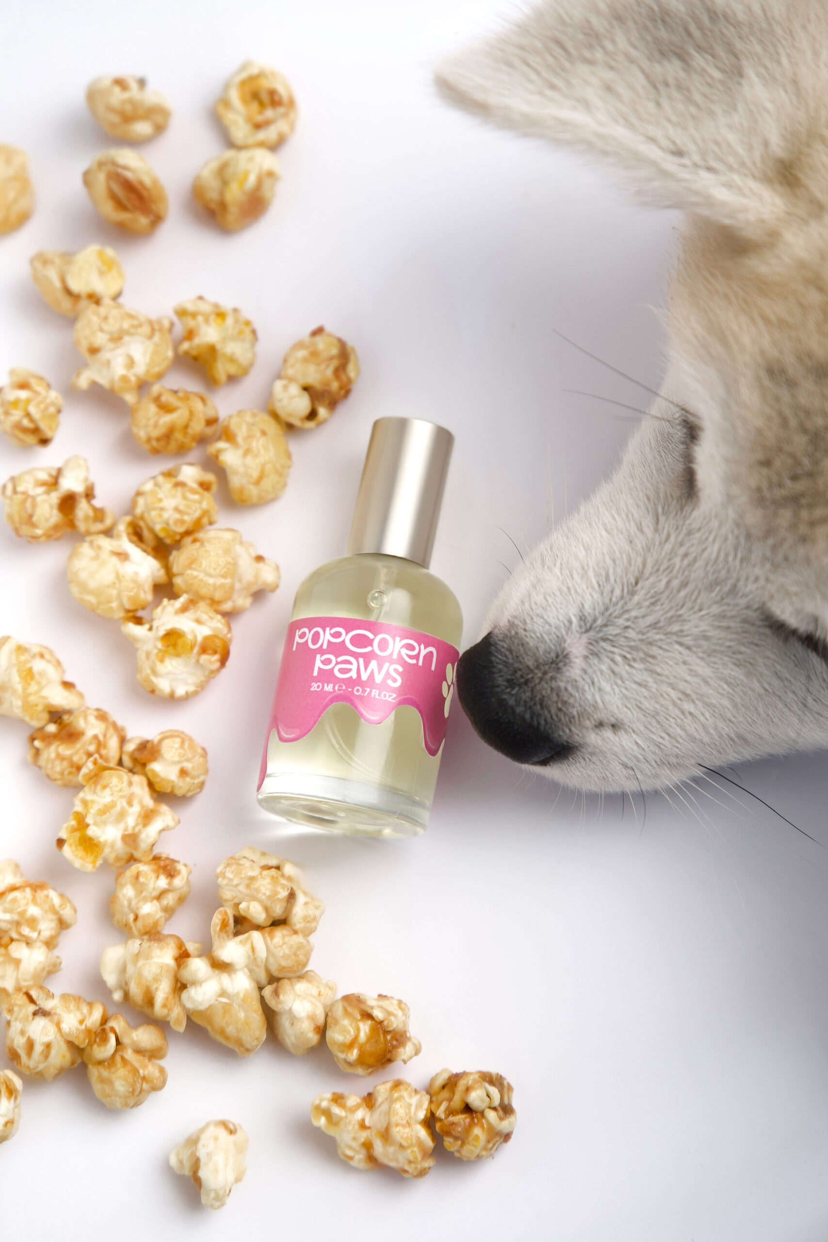 Popcorn Paws